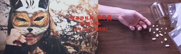 дживик Володарск