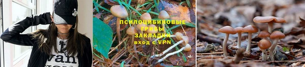 герыч Волосово
